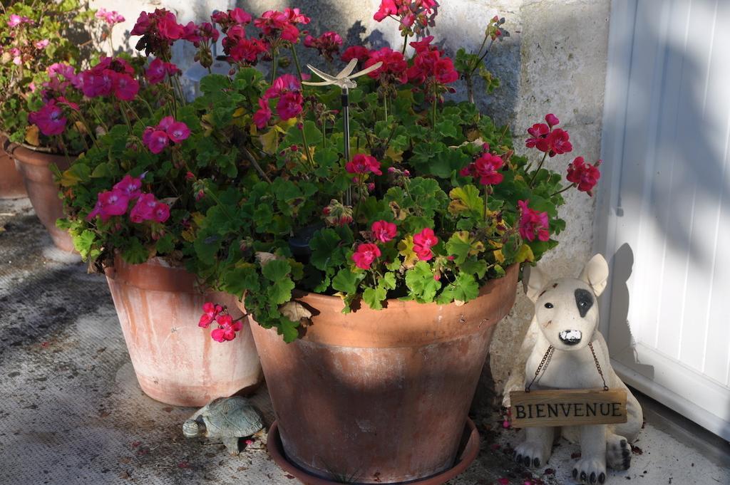Brossac La Maison De Rose Bed & Breakfast エクステリア 写真